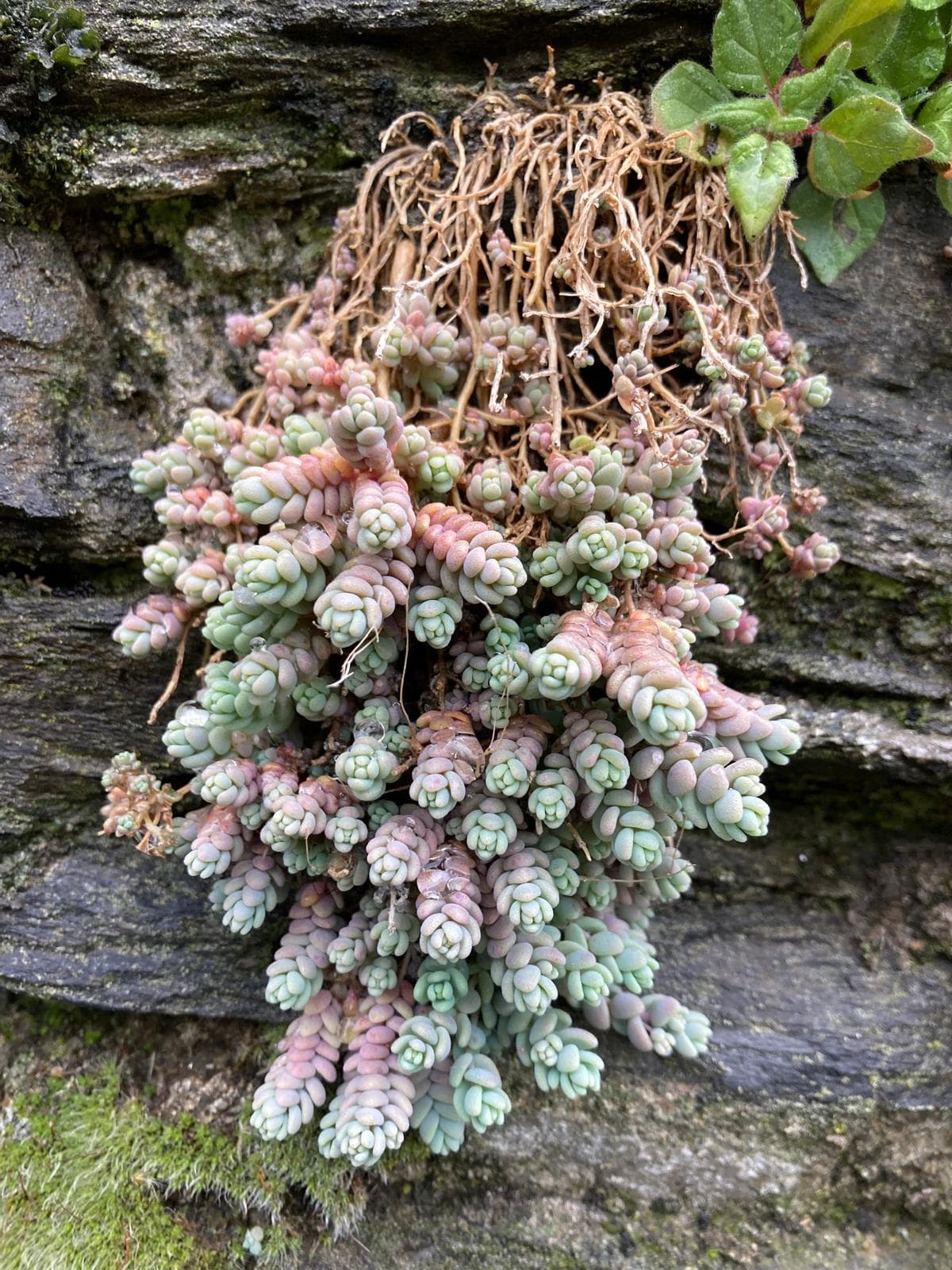 /img/around-la-baraka/PHOTO-2024-05-17-13-14-08 21.jpg